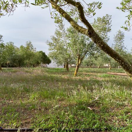 Agroturismo Malbuger Nou Menorca -Adults Only- Mahón Eksteriør bilde