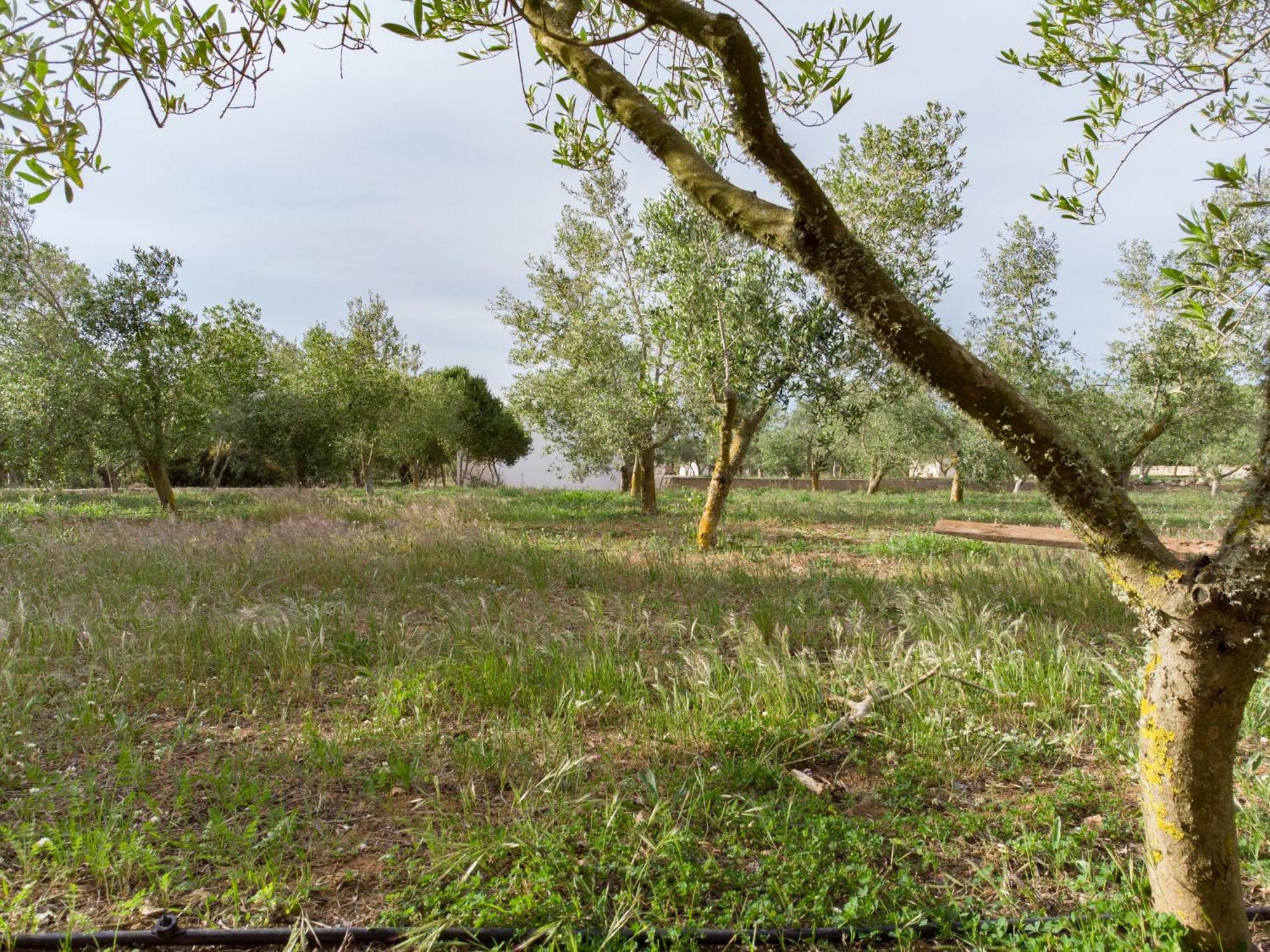 Agroturismo Malbuger Nou Menorca -Adults Only- Mahón Eksteriør bilde